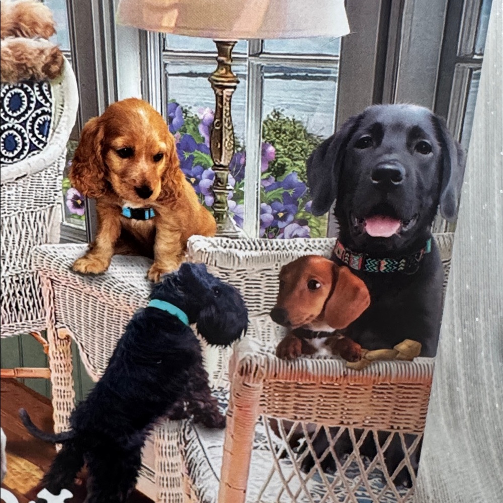 Puzzle Ceaco Jigsaw Puzzle Sunroom Pups by Greg Giordano 550 pc NEW sealed 24x18 - Picture 3 of 12